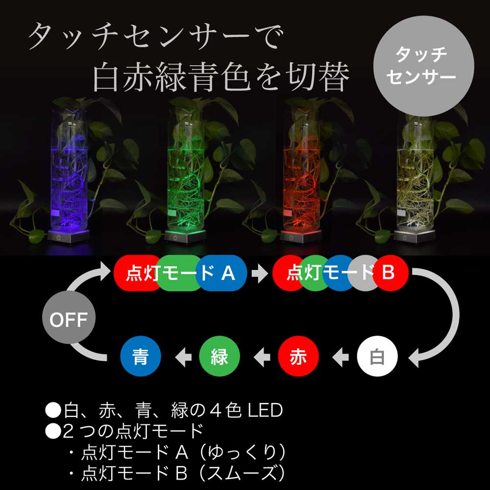 ledbasesq